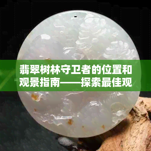 翡翠树林守卫者的位置和观景指南——探索更佳观赏点与路线