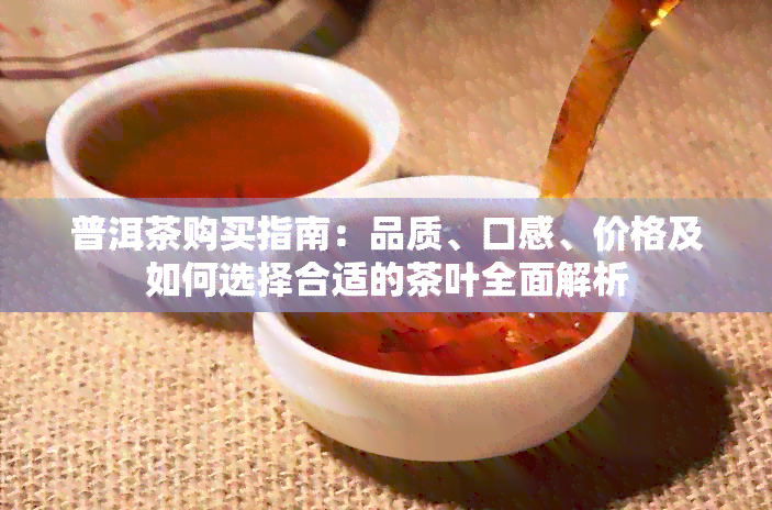 普洱茶购买指南：品质、口感、价格及如何选择合适的茶叶全面解析