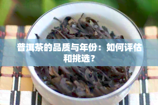 普洱茶的品质与年份：如何评估和挑选？