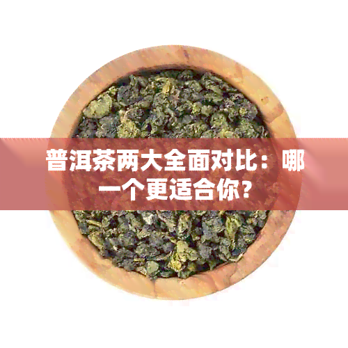 普洱茶两大全面对比：哪一个更适合你？