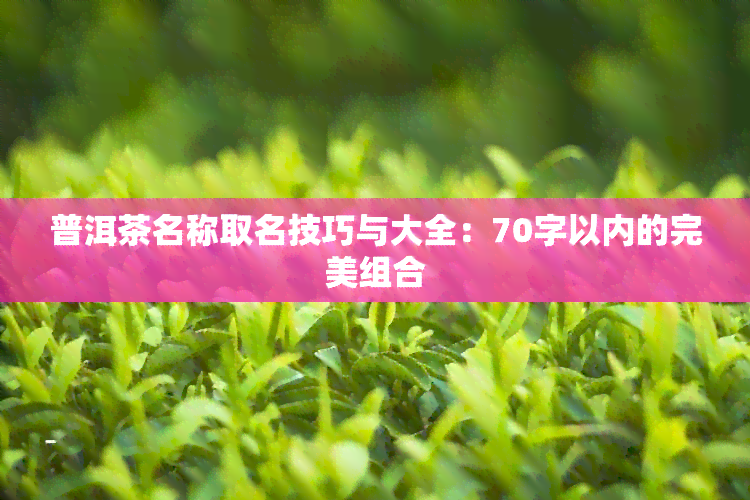 普洱茶名称取名技巧与大全：70字以内的完美组合