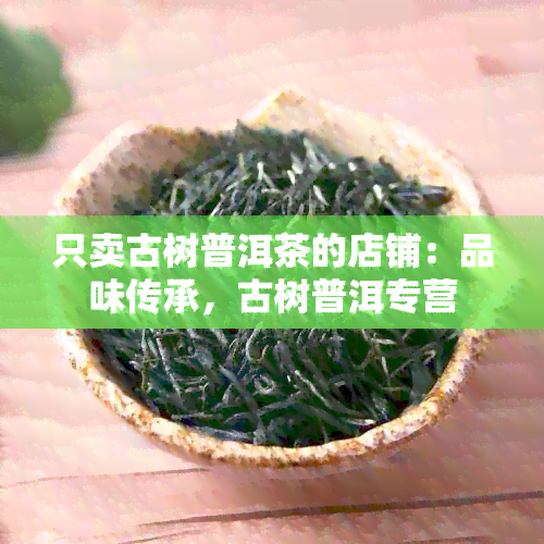 只卖古树普洱茶的店铺：品味传承，古树普洱专营