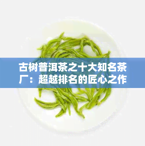 古树普洱茶之十大知名茶厂：超越排名的匠心之作