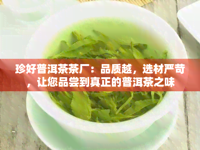 珍好普洱茶茶厂：品质越，选材严苛，让您品尝到真正的普洱茶之味