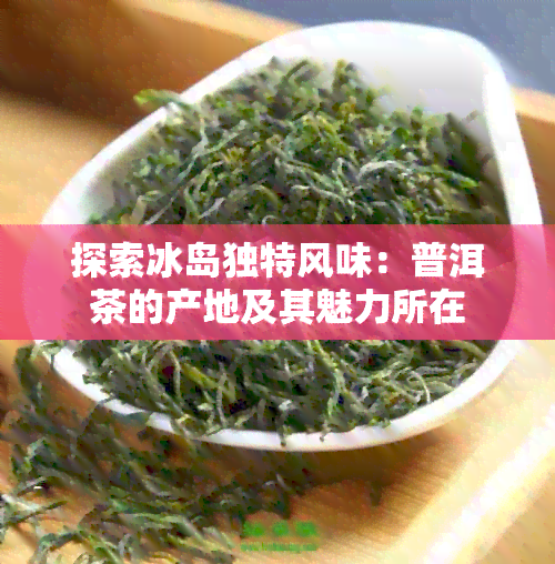 探索冰岛独特风味：普洱茶的产地及其魅力所在