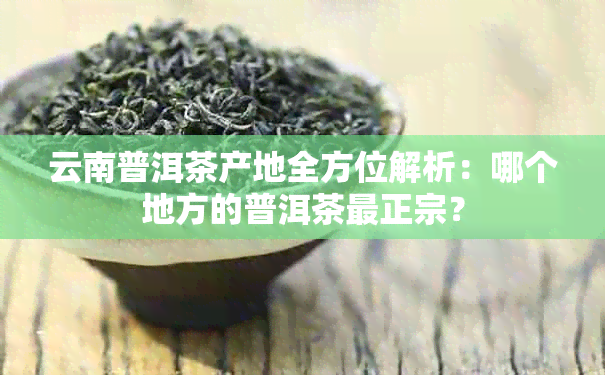 云南普洱茶产地全方位解析：哪个地方的普洱茶最正宗？