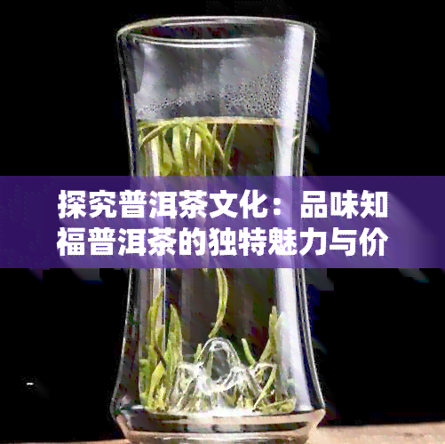 探究普洱茶文化：品味知福普洱茶的独特魅力与价格因素