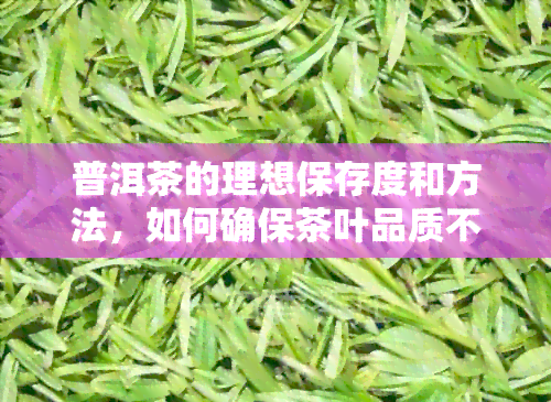 普洱茶的理想保存度和方法，如何确保茶叶品质不受影响？