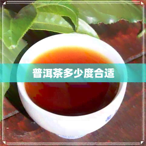 普洱茶多少度合适