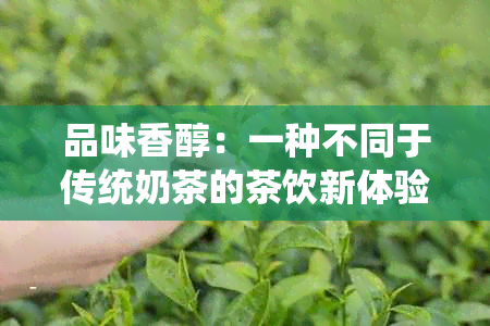 品味香醇：一种不同于传统奶茶的茶饮新体验