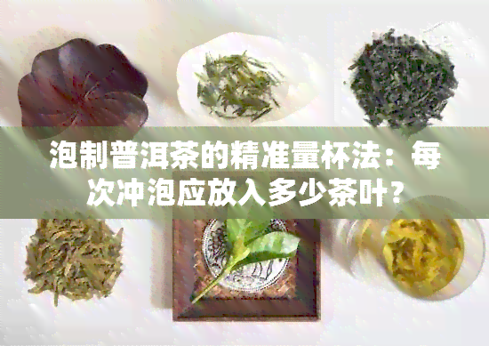 泡制普洱茶的精准量杯法：每次冲泡应放入多少茶叶？