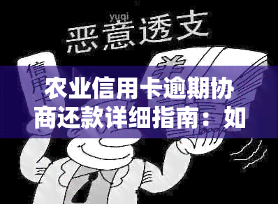 农业信用卡逾期协商还款详细指南：如何联系客服电话进行处理？