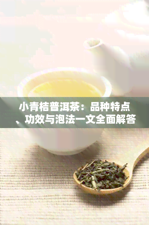 小青桔普洱茶：品种特点、功效与泡法一文全面解答！