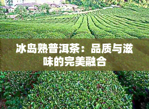 冰岛熟普洱茶：品质与滋味的完美融合