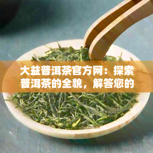 大益普洱茶官方网：探索普洱茶的全貌，解答您的所有疑问