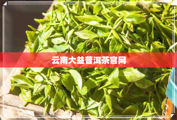 云南大益普洱茶官网