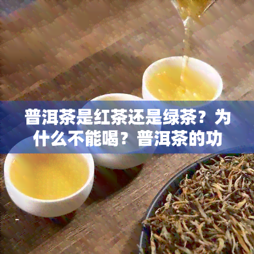 普洱茶是红茶还是绿茶？为什么不能喝？普洱茶的功效与作用是什么？