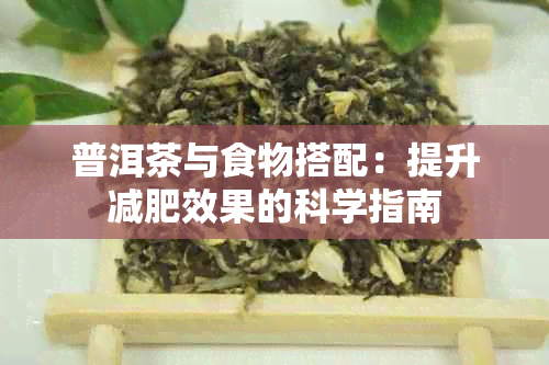 普洱茶与食物搭配：提升减肥效果的科学指南