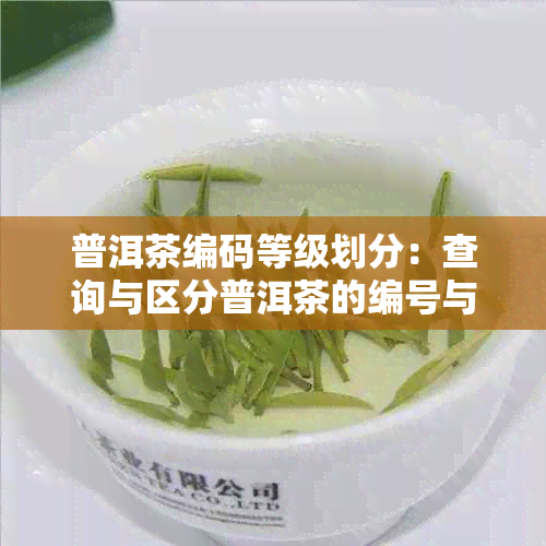 普洱茶编码等级划分：查询与区分普洱茶的编号与等级意义