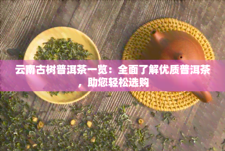 云南古树普洱茶一览：全面了解优质普洱茶，助您轻松选购