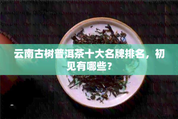 云南古树普洱茶十大名牌排名，初见有哪些？