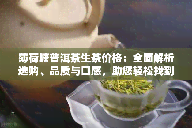 薄荷塘普洱茶生茶价格：全面解析选购、品质与口感，助您轻松找到理想茶叶