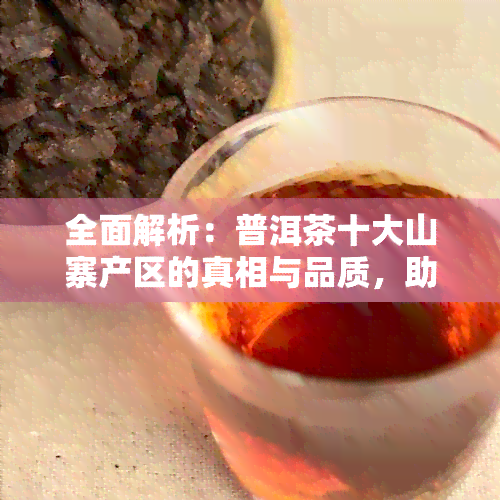 全面解析：普洱茶十大山寨产区的真相与品质，助您轻松识别正品与仿品