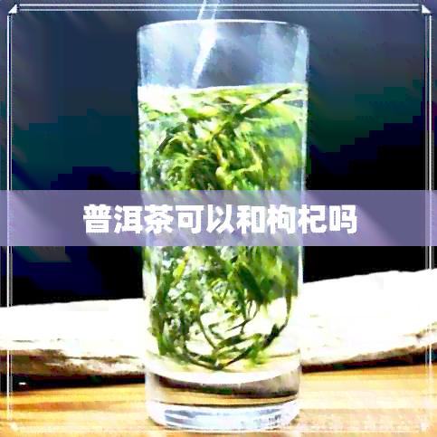 普洱茶可以和枸杞吗