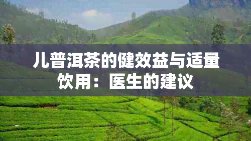 儿普洱茶的健效益与适量饮用：医生的建议