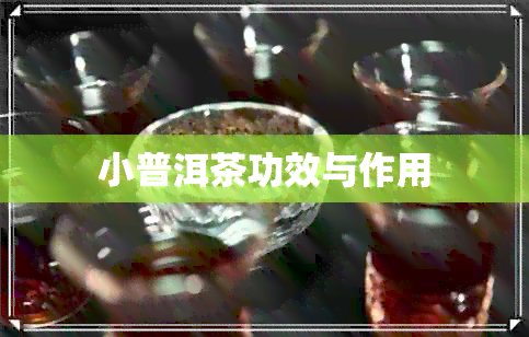 小普洱茶功效与作用