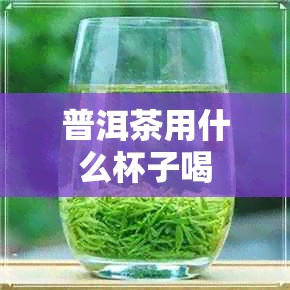 普洱茶用什么杯子喝