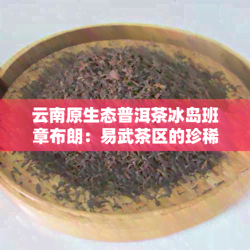 云南原生态普洱茶冰岛班章布朗：易武茶区的珍稀品种探索