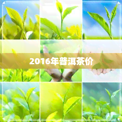 2016年普洱茶价