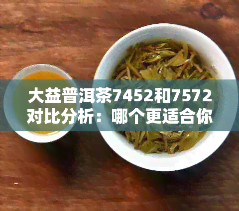 大益普洱茶7452和7572对比分析：哪个更适合你？了解两者特点及选择建议