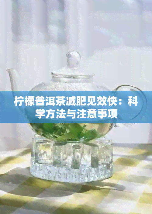 柠檬普洱茶减肥见效快：科学方法与注意事项