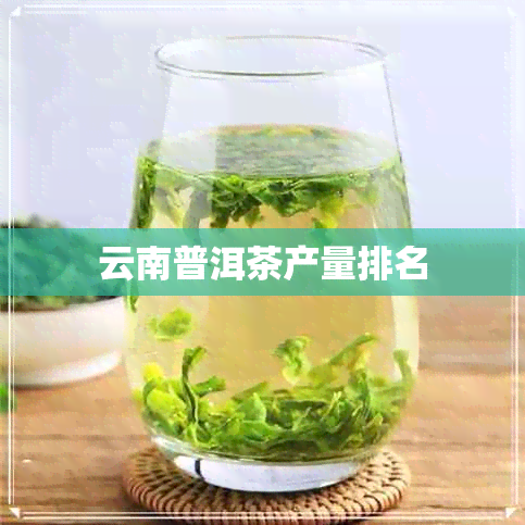 云南普洱茶产量排名