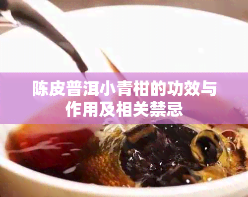 陈皮普洱小青柑的功效与作用及相关禁忌