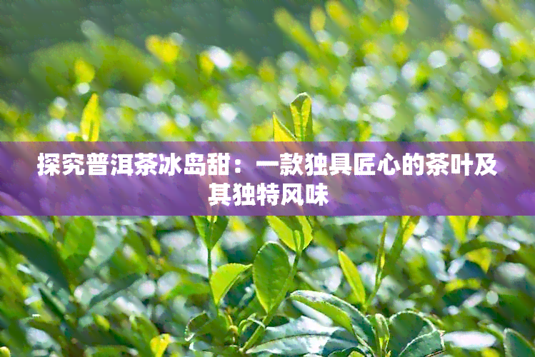 探究普洱茶冰岛甜：一款独具匠心的茶叶及其独特风味