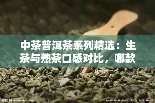 中茶普洱茶系列精选：生茶与熟茶口感对比，哪款更适合你的口味？