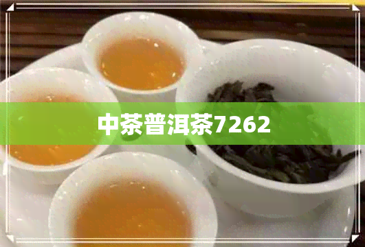 中茶普洱茶7262