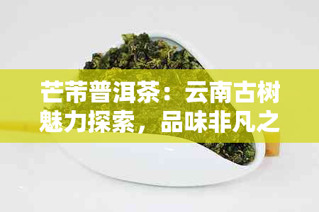 芒芾普洱茶：云南古树魅力探索，品味非凡之旅