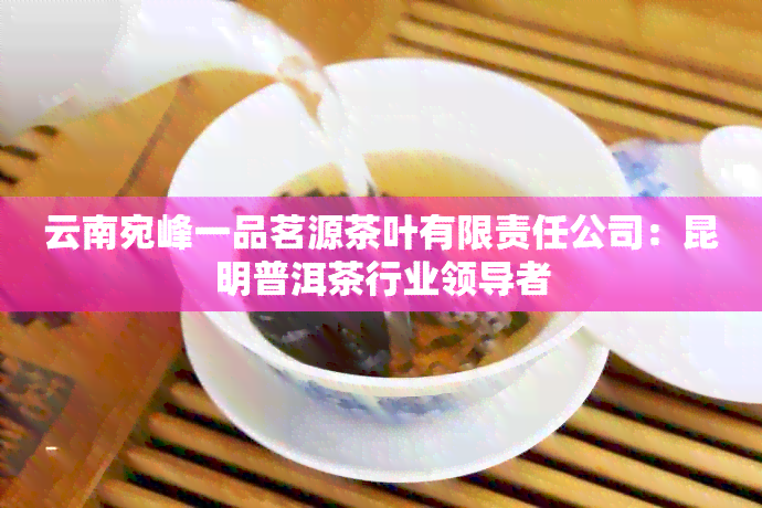 云南宛峰一品茗源茶叶有限责任公司：昆明普洱茶行业领导者