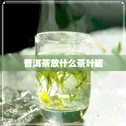 普洱茶放什么茶叶罐