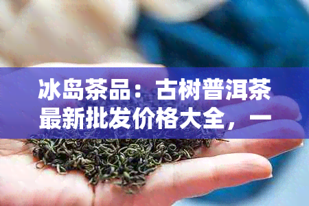 冰岛茶品：古树普洱茶最新批发价格大全，一站式采购