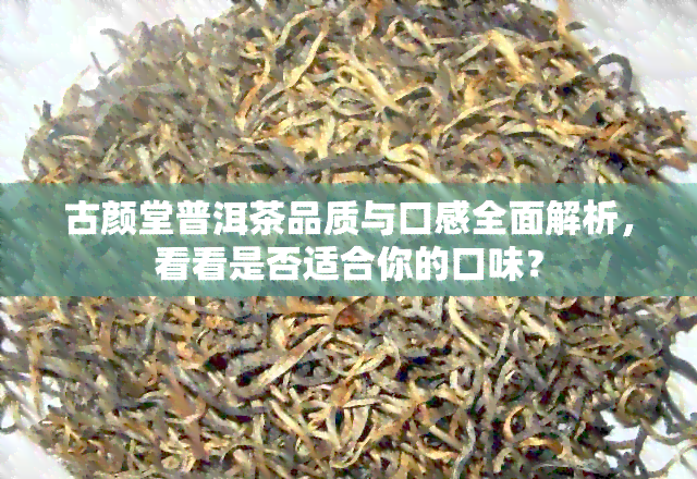 古颜堂普洱茶品质与口感全面解析，看看是否适合你的口味？