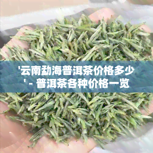 '云南勐海普洱茶价格多少' - 普洱茶各种价格一览