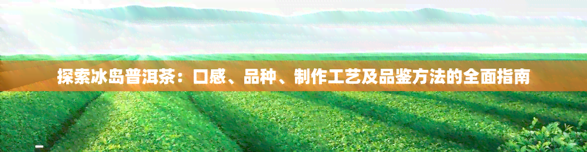 探索冰岛普洱茶：口感、品种、制作工艺及品鉴方法的全面指南