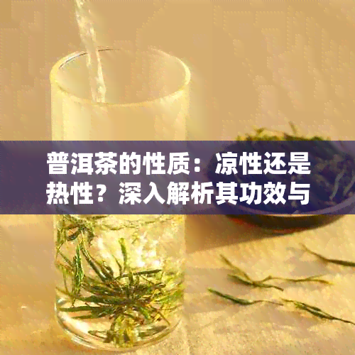 普洱茶的性质：凉性还是热性？深入解析其功效与适用人群