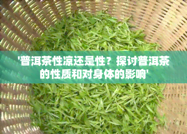 '普洱茶性凉还是性？探讨普洱茶的性质和对身体的影响'