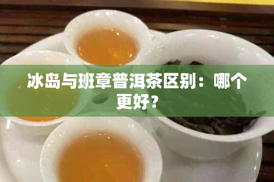 冰岛与班章普洱茶区别：哪个更好？